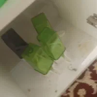 انواع خوراک تاب نردبانابخوری دونخوری پرندگان موجود|لوازم جانبی حیوانات|سیستان, |دیوار