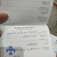 گربه با اصالت و شناسنامه دار|گربه|اهواز, کوی ایثار|دیوار