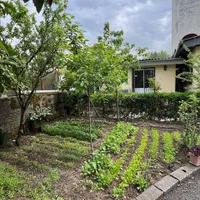 اجاره ویلا/سوییت|اجارهٔ کوتاه‌مدت آپارتمان و سوئیت|هچیرود, |دیوار