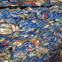 رانی فویل غذا