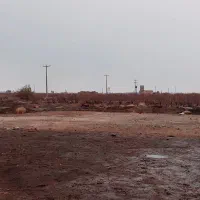 زمین بدون تفکیک شفته شده