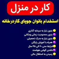 کار اینترنتی در منزل برای بانوان خانه دار|استخدام بازاریابی و فروش|رشت, یخسازی|دیوار