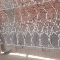 تنها تولیدکننده انواع حفاظ های شاخ گوزنی ودرختی|خدمات پیشه و مهارت|کرمان, |دیوار