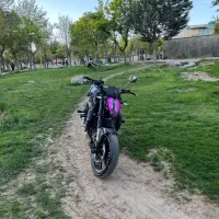 Blenta300