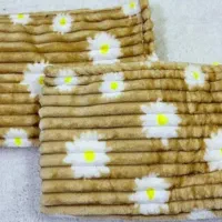 روبالشتی گل بابونه