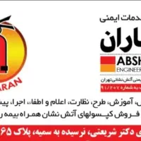 شارژ و فروش کپسول آتش نشانی سراسر تهران|خدمات پیشه و مهارت|تهران, خواجه نصیر طوسی|دیوار