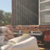 کاه سفید کردستان امروز رسید