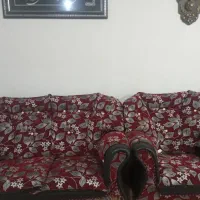 مبل ۷ نفره|مبلمان خانگی و میز عسلی|تربت جام, جامرود|دیوار