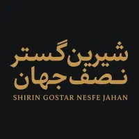 بازاریاب حرفه ای خانم