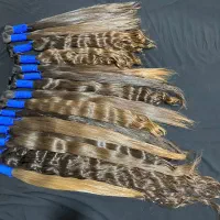 خریدار مو|خدمات آرایشگری و زیبایی|یاسوج, |دیوار