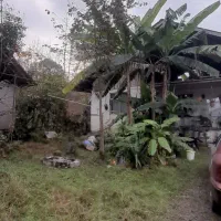 اجاره ویلایی جای دنج و آرام روستای آزرستانکی|اجارهٔ خانه و ویلا|لاهیجان, آهندان|دیوار