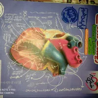 کتاب های خیلی سبز دورس تخصصی دهم تجربی با تخفیف|کتاب و مجله آموزشی|میناب, |دیوار