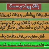 آموزش آنلاین وحضوری کامل زیست شناسی دهم تجربی