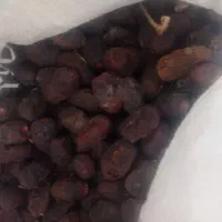 ضایعات خرما