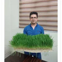 فروش علوفه هیدروپونیک