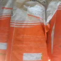 فروش ویژه بذر ذرت علوفه با قیمت و کیفیت