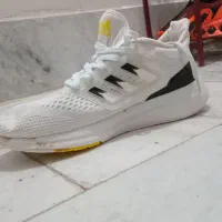 کفش آدیداس اصلی|کیف، کفش، کمربند|مشهد, حضرت حجت|دیوار