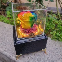 باکس چرمی موزیکال گل رز جاودان اسپیناس رز کد ۹۳|گل و گیاه طبیعی|تهران, میدان ولیعصر|دیوار