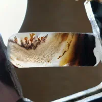 نگین شجر قائن|کلکسیون اشیاء عتیقه|قم, هنرستان|دیوار