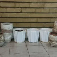 گلدانِ گل قیمت مفت مفت