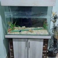 آکواریوم‌شیشه خم