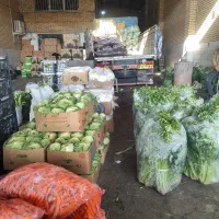 نیروی کارساده برای میدان