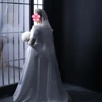 لباس مجلسی