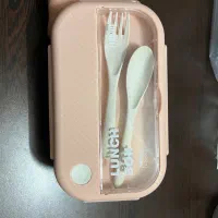 ظرف غذا