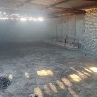 فروش دامداری(بره پرواری) با سند شش دانگ|فروش دفتر صنعتی، کشاورزی، تجاری|تربت‌حیدریه, بهشت عسکری|دیوار