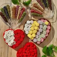 اموزش قندونبات