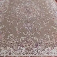 ۱تخته فرش ۱۲متری|فرش|اردبیل, |دیوار