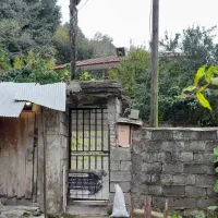 فروش خانه ویلایی|فروش خانه و ویلا|لنگرود, |دیوار