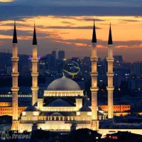 تور تایلند /تور تفلیس/تور استانبول/تور دبی/|تور و چارتر|بوشهر, |دیوار