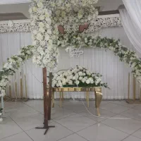 حضور در مراسمات عروسی(اجرا کننده مراسمات)