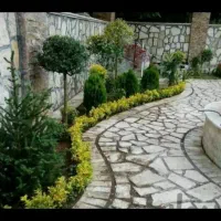 خدمات باغبانی گل کاری هرس کاری تعویض خاک گلدان|خدمات باغبانی و درختکاری|پردیس, فاز ۸|دیوار