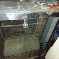 فقد نقدی مامله میشه