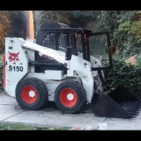 بابکت‌راکون‌در‌حد‌صفر