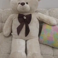 خرس غول‌پیکر ۱۴۰ سانتی خارجی