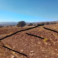 فروش زمین کشاورزی