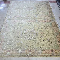 جفت ۶ متری تبریز غرق در ابریشم