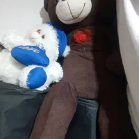 عروسک خرسی|اسباب‌بازی بچه|شهرکرد, |دیوار