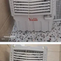 کولرابی یاسان