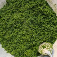 نیرو خانم مغازه سبزی خردکنی|استخدام بازاریابی و فروش|کاشان, قطب راوندی|دیوار