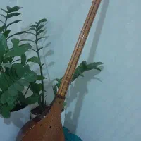 سه تار همایی