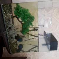 آکواریوم|ماهی|رشت, نخودچر|دیوار