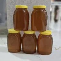 عسل خاص کوهستان لرستان (گشنیز و گیاهان کوهی)
