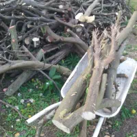 یک کامیون پر|خودرو سنگین|چابکسر, |دیوار