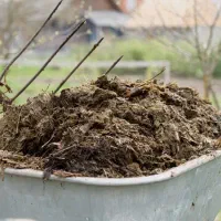 فروش کود حیوانی