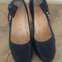کفش مجلسی