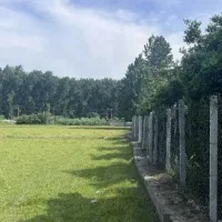 زمین در منطقه ساحلی/سنددار/اقساطی